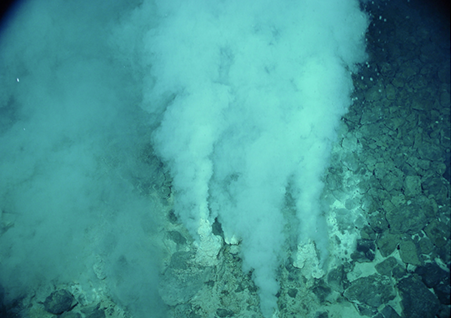 Image of White chimney vents